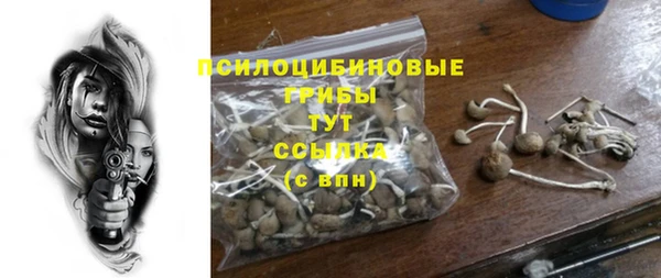спайс Сясьстрой