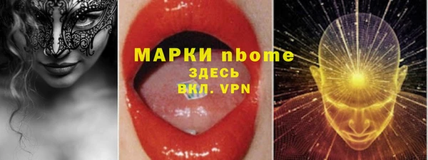 крисы Вязьма