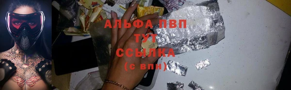 крисы Вязьма