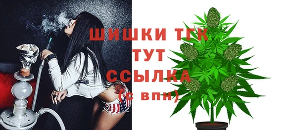 спайс Горняк