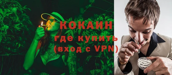 крисы Вязьма